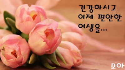 건강하시고이제편안한여생을...