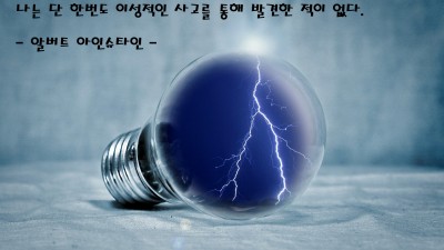 나는단한번도이성적인사고를