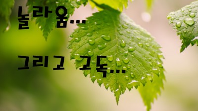 놀라움그리고고독