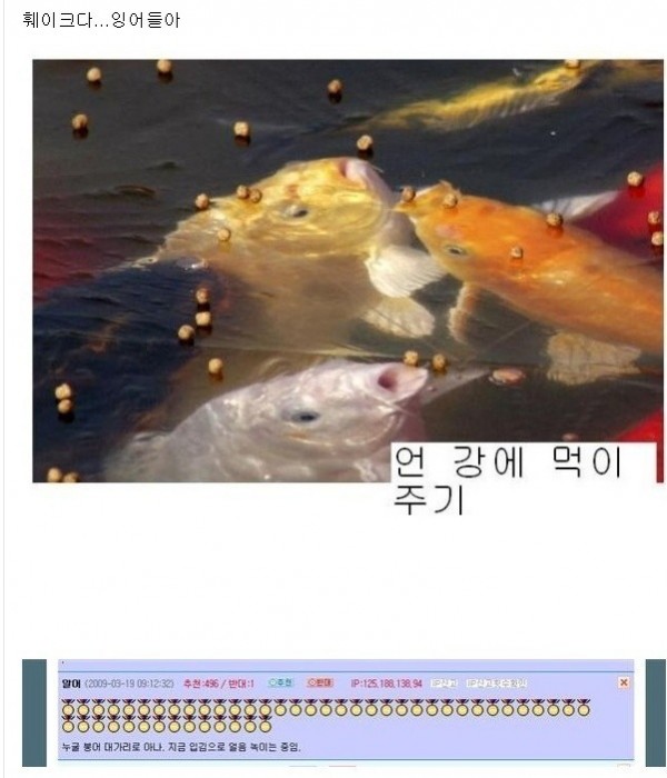 d6e7412f18273ba269b2e5ea42664601_1674182278_9567.jpg