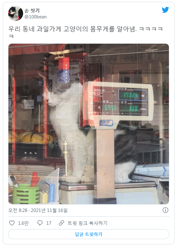cb93be880762b1d6d60f128cd0a2e33a_1680579506_8111.png